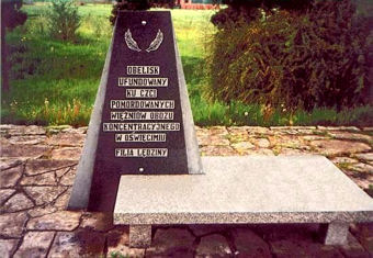 obelisk ufundowany ku czci pomordowanych więźniów obozu koncentracyjnego w Oświęcimiu, przy ul. Paderewskiego